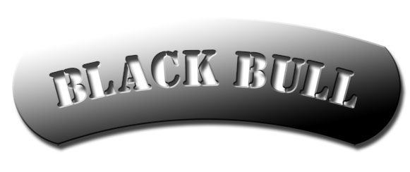 Der Black Bull Holzofen, ( KEIN Bullerjan) .  Wird in Deutschland handgefertigt und ist in 3 Leistungsklassen lieferbar. 14,9 kW, 17,5 kW und 30 kW  Jetzt exclusive bei Heidi